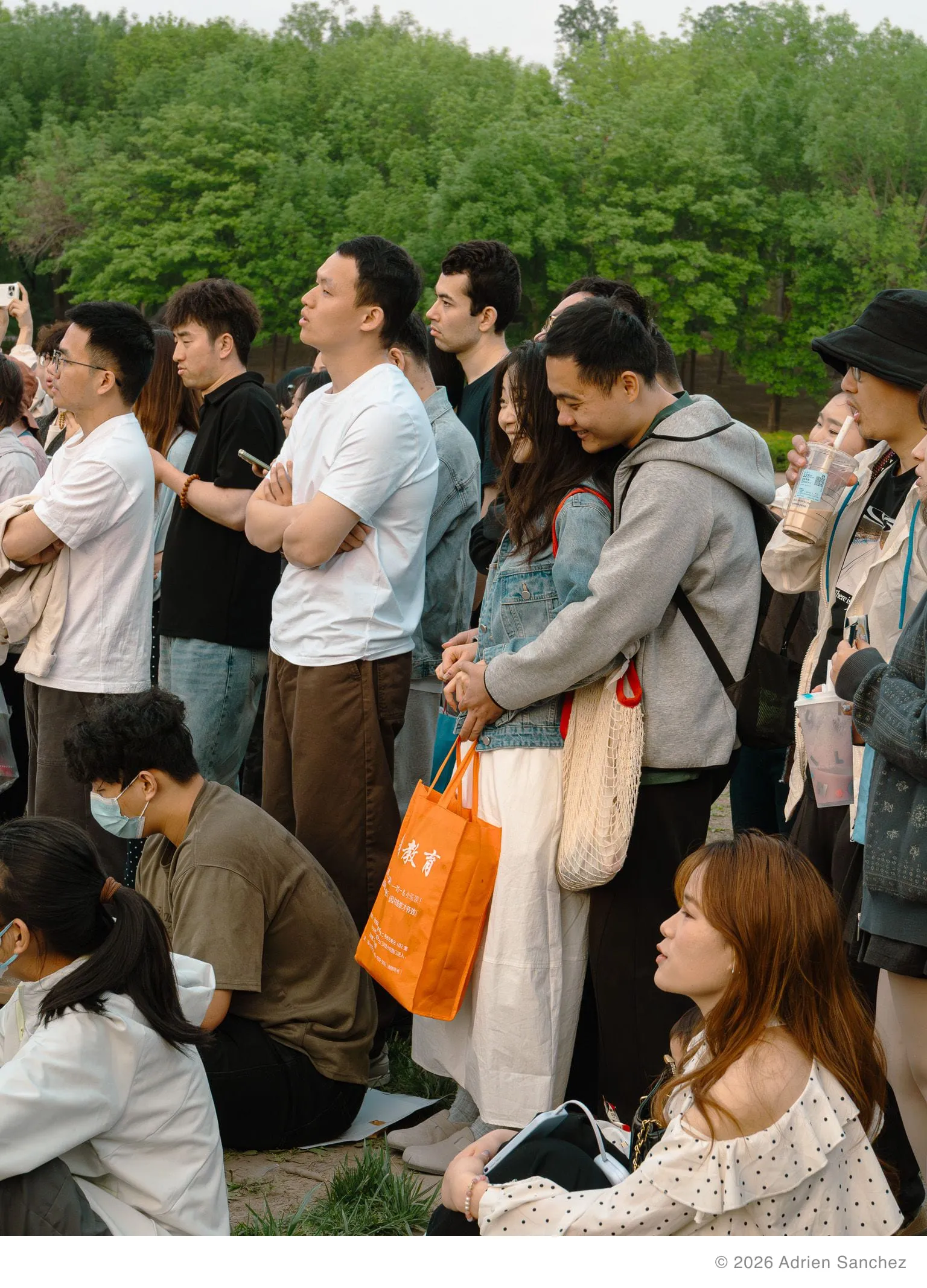 Concert in the park