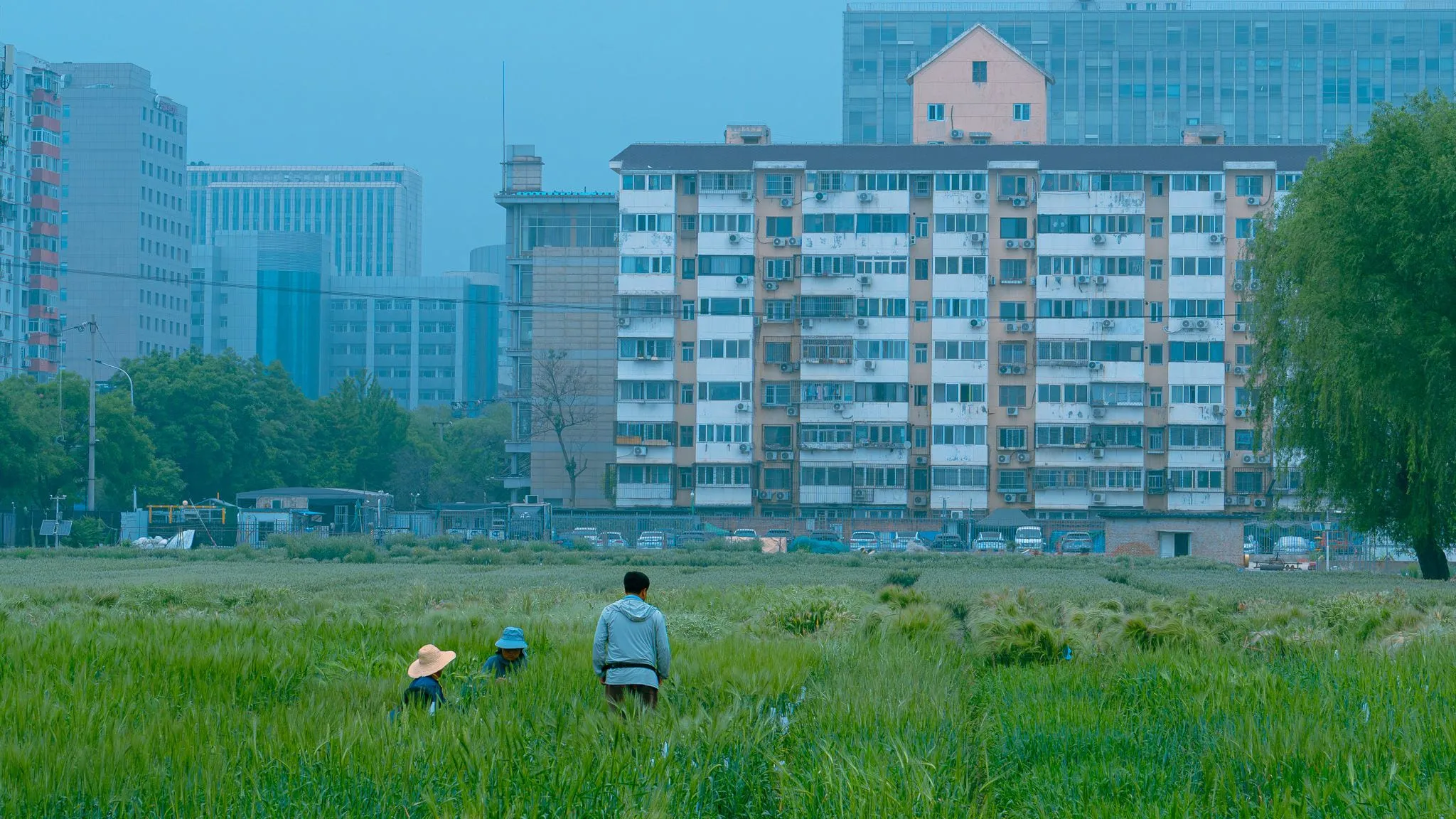 Blocks above the field