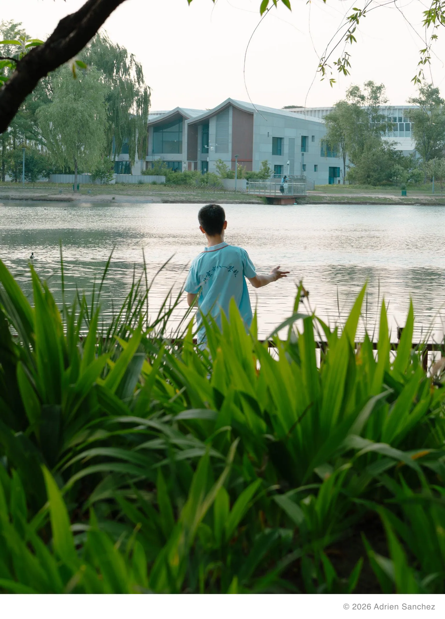 Kid throwing rocks