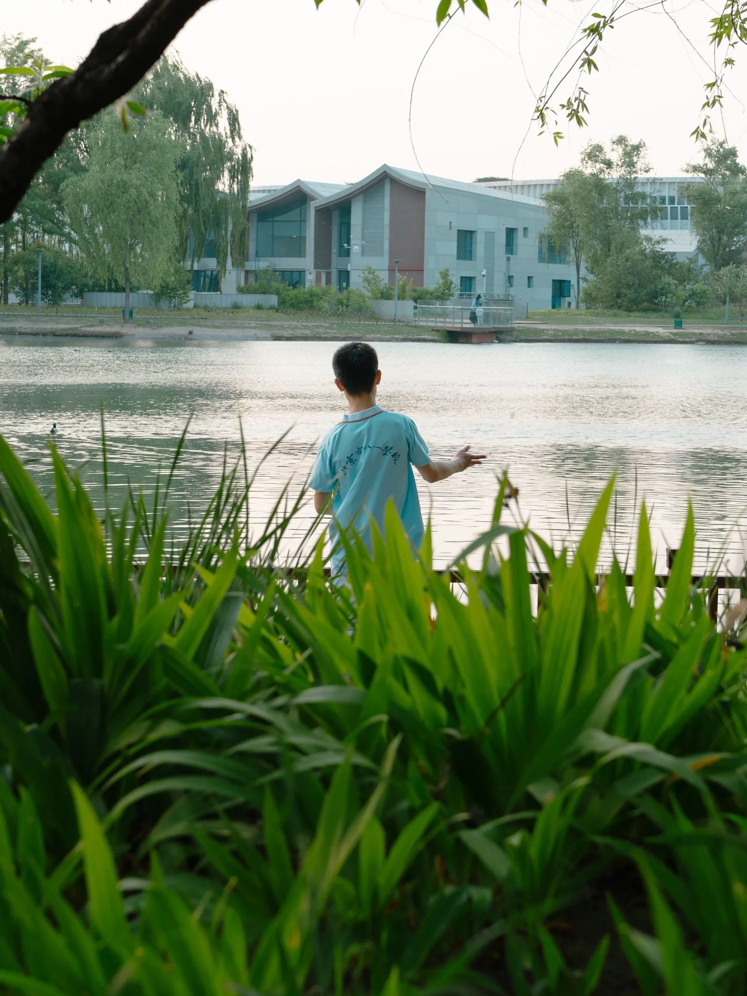 Kid throwing rocks