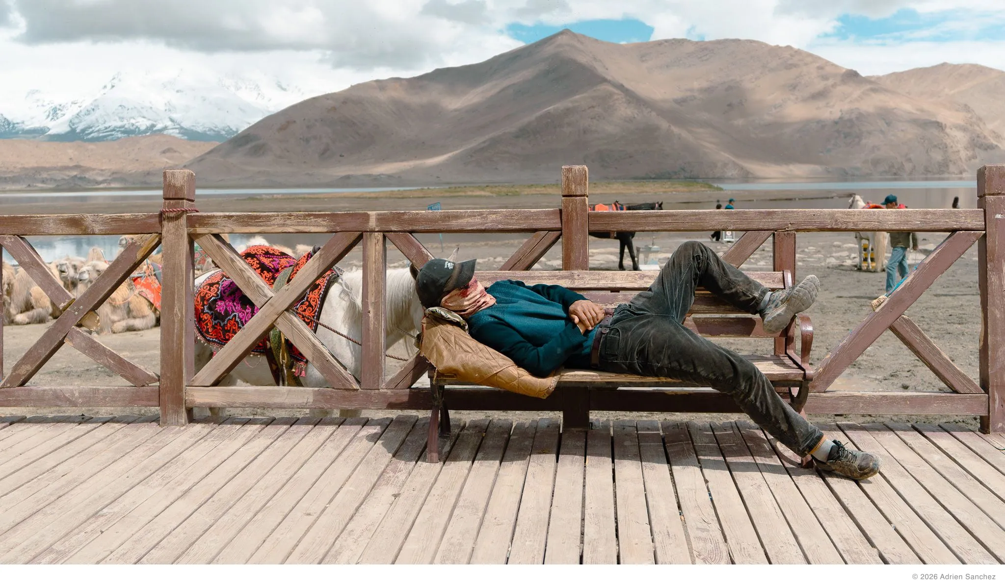 Camel rider resting