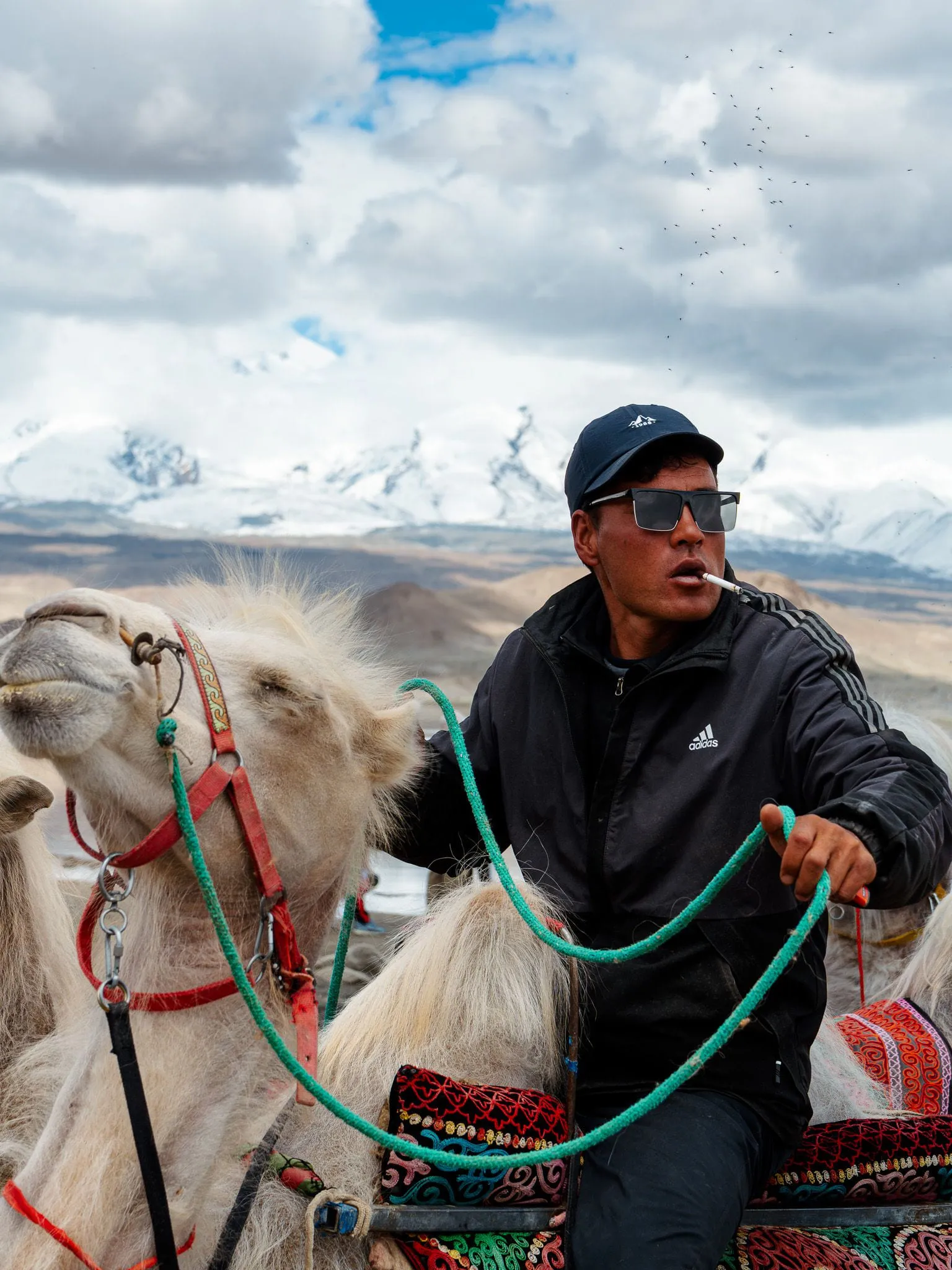 Camel rider