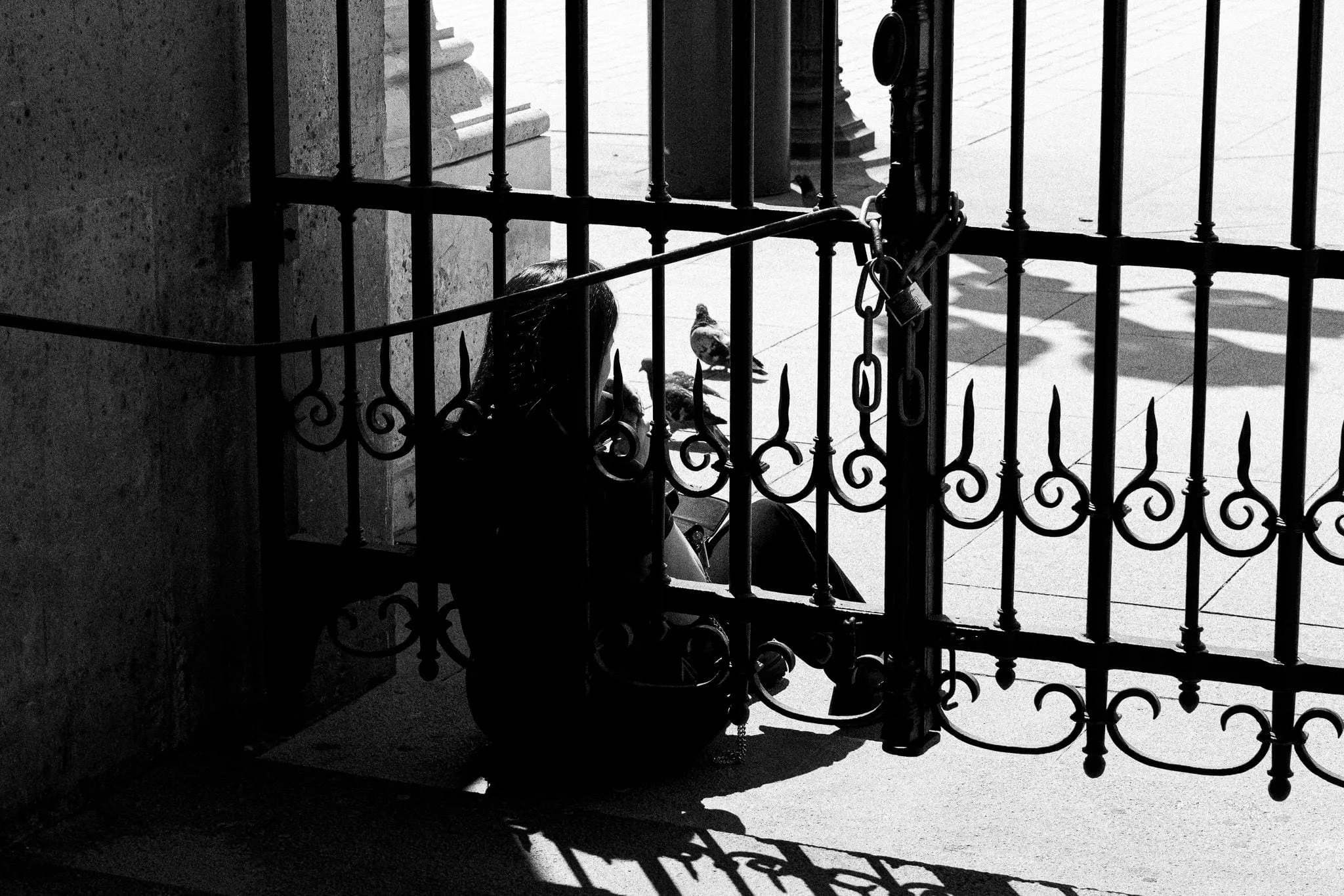 Crouched behind the gate