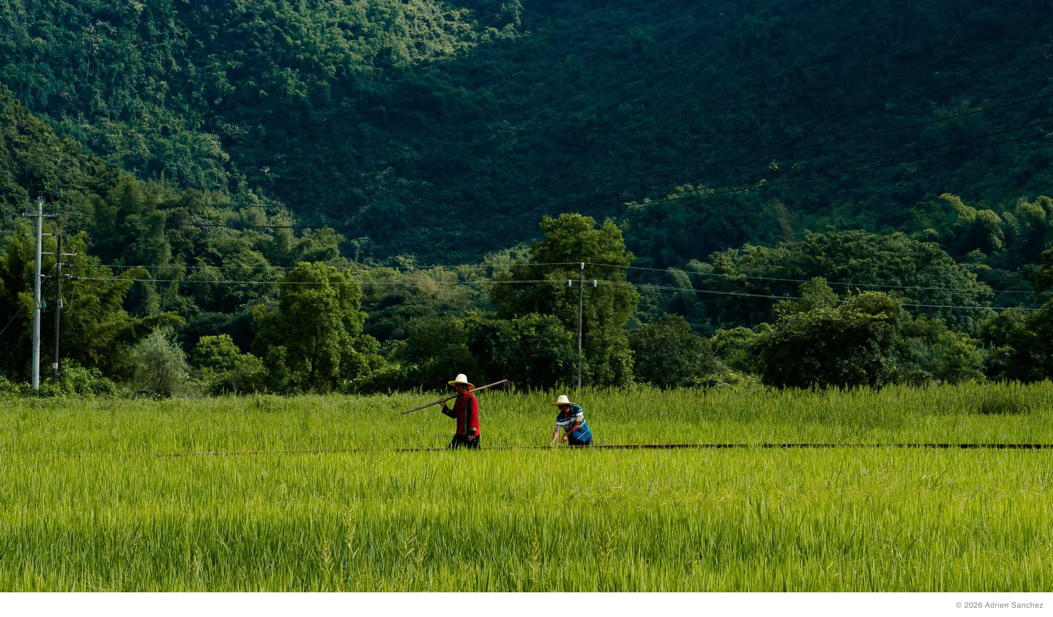 Two farmers