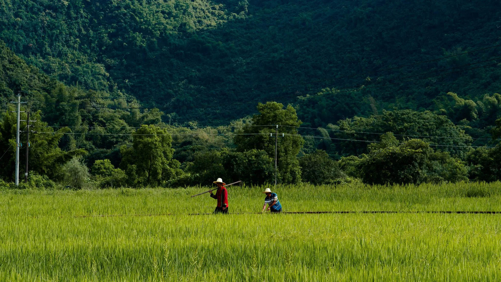 Two farmers