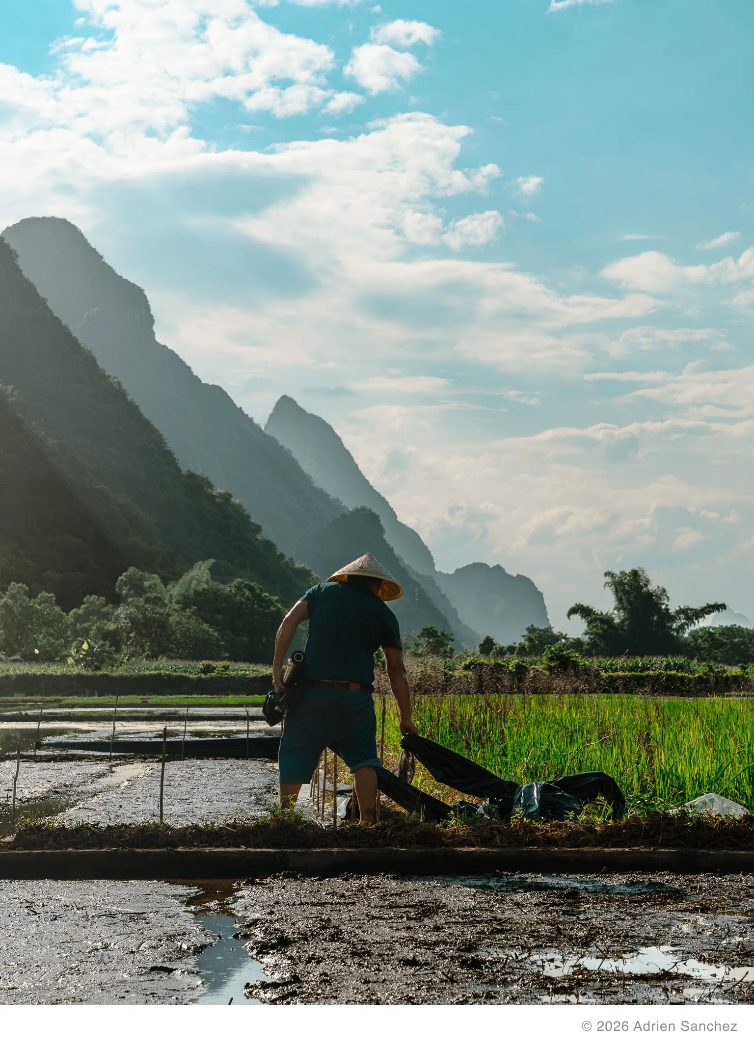 Paddy farmer 2