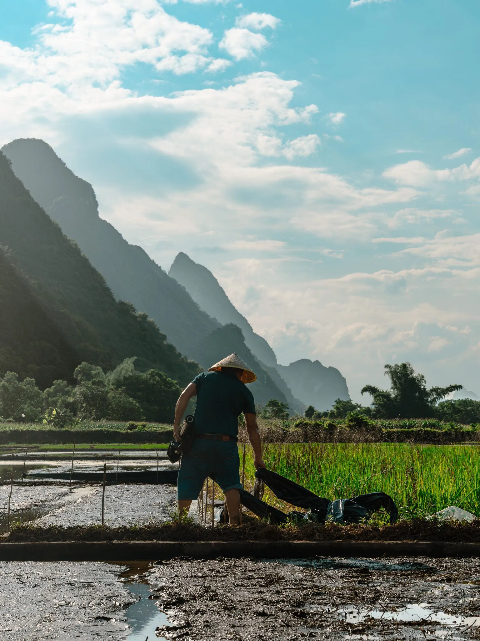 Paddy farmer 2