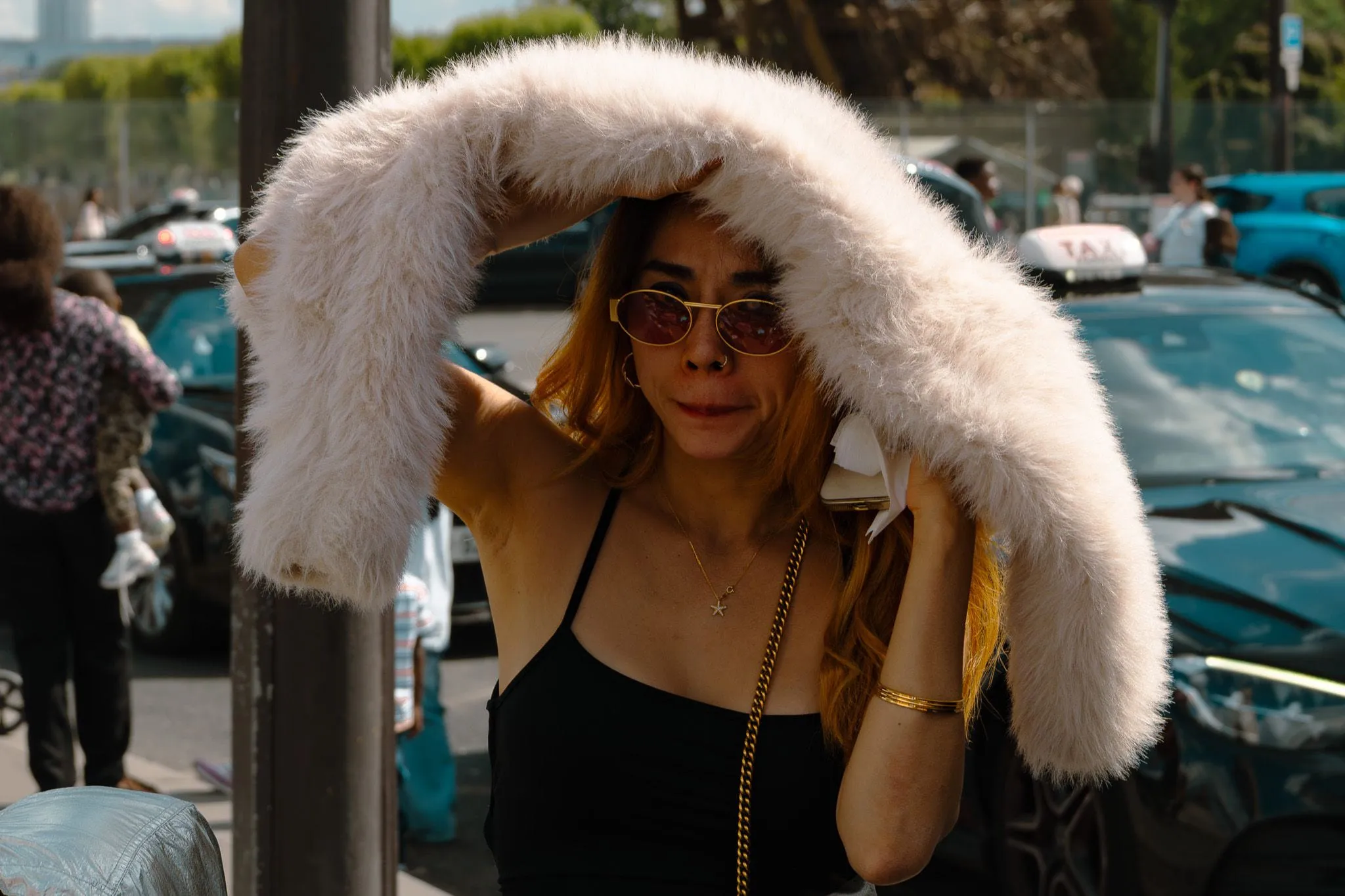 Fur against the sun